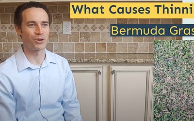 What Causes Thinning Bermuda Grass?